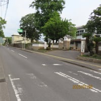 朝の散歩（2025/7/6）・・・姶良市加治木港方面