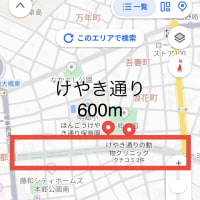 ぎふ本郷けやき祭り開催