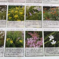 ③