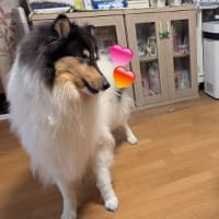 梅雨明け？？