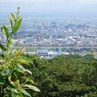 二上山トレッキング