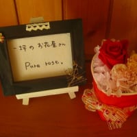 ブログお引越ししまーす。