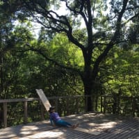 岩湧 森まつり プレオープン？ 2