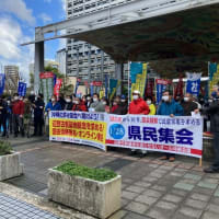 １月２８日（土）、オール沖縄会議が辺野古新基地建設反対を訴え、「建白書から１０年　国会請願で民意実現を求める沖縄県民集会」。久しぶりに国際通りをデモ