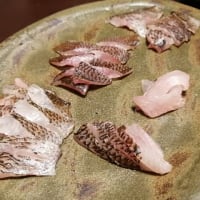 イサキの幼魚 うりぼう の美味しい食べ方 俺 隠岐に立つ