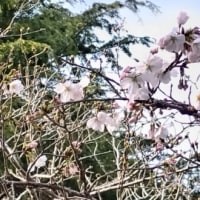 今日いち-2025年3月25日