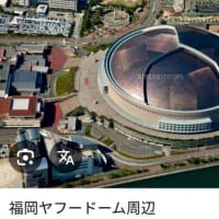 貝殻がドームの屋根でありますように🧎