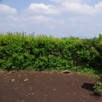 高尾山ハイキング