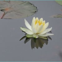 梅雨入り前