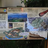 初夏の愛知・静岡の旅（８）箱根神社