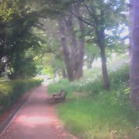 初夏の風物詩