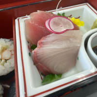 「和食の橘」の松花堂弁当