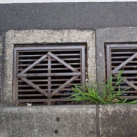 横浜角形雨水路上蓋の定番