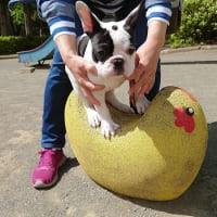 大好きだった公園