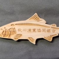 今日も秋川へ❗️