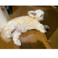 今日いち-2025年7月7日