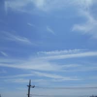 梅雨はどこに？ (・_・)......今日は猛暑日～ 蒟蒻ゼリーを買ってきた＾＾