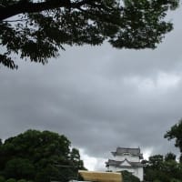 名古屋城は、盆踊りシーズン