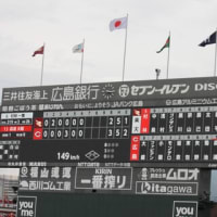 カープ観戦　6/22(25)