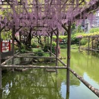花見より人見？
