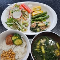 新鮮採れたてウドを頂きました！！