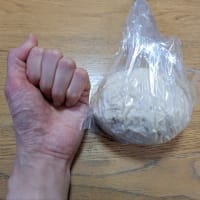 初めてパンを作ったよ。