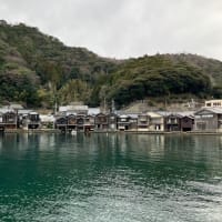 伊根の舟屋を見学