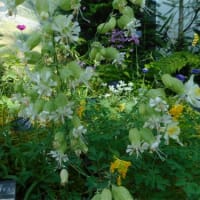 井頭公園の花ちょう遊館３