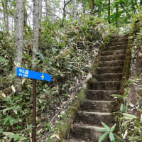 古峠(旧和田峠)を訪ねて