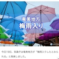 奄美は梅雨入り