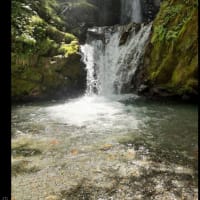 夏の山旅 ⑥　大山滝とネイチャーサウナ