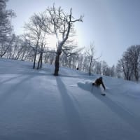 北海道スキー2024 day4