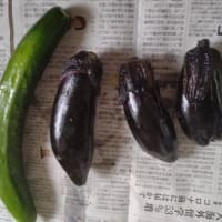 収穫は大変！
