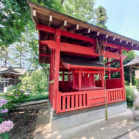 夏越の大祓、白岡八幡神社にて