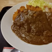 究極にしょっぱいかつカレーを食べました！！