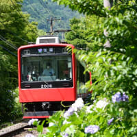 箱根登山鉄道　