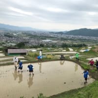 棚田にて