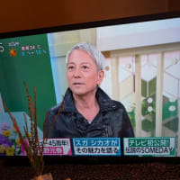 佐野元春💞