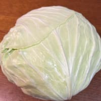 子キャベツ収獲