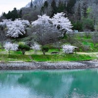 簡易水道有収率対策プロジェクト会議＆生坂ダム湖上空からの風景
