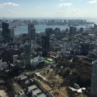 東京タワー 〜トップデッキツアー〜