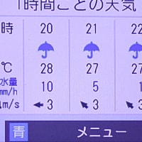 今日はソフトバンクロッテ戦
