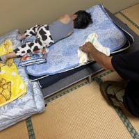 風呂上がりのひと時