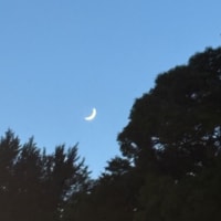 じぶんへの観察眼の変化