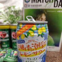 湘南朝彩レモンサワーで精一杯