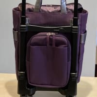 SWANY  新作 KANTOU 間道入荷❣️