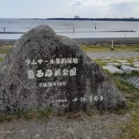 干潮間近の夏の海／葛西海浜公園