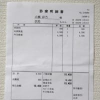 4匹の通院費 診療明細