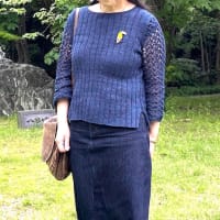 毛糸だま夏号206 より レースヨークのプル 進捗