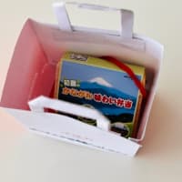 崎陽軒のかながわ味わい弁当